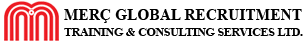 yabancieleman.com.tr